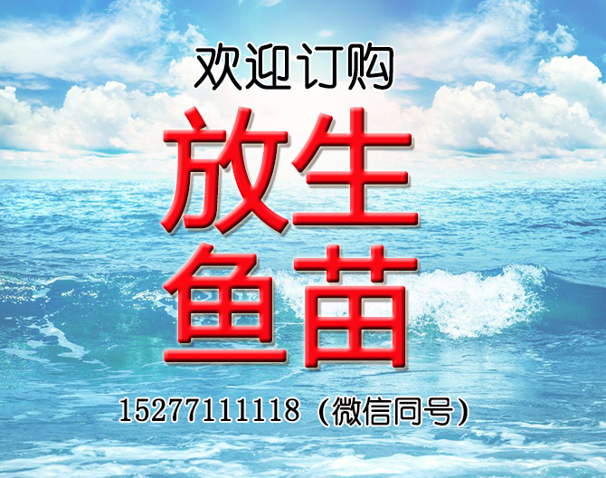 歡迎訂購 放生魚苗