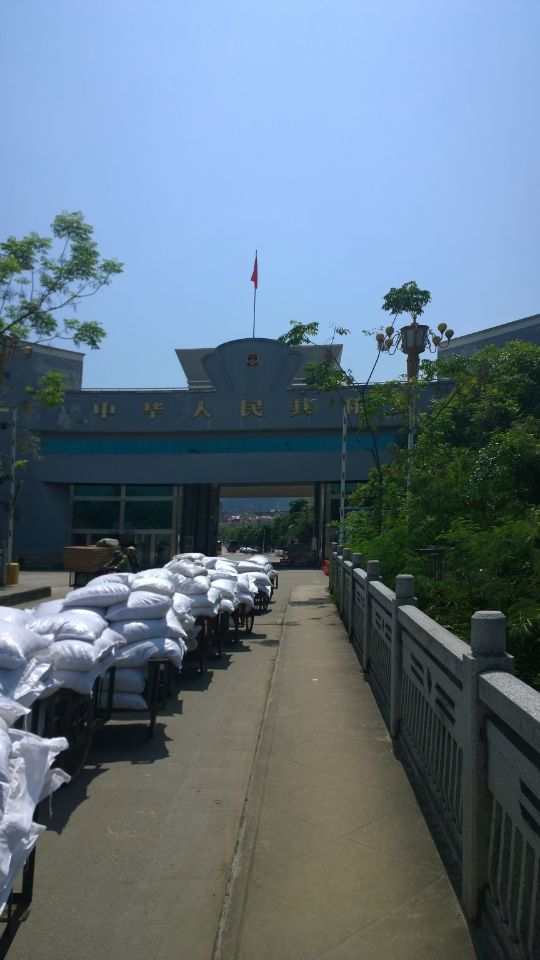 魚(yú)苗走出國(guó)門